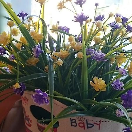Happy Sun Daire T'ai-tung Dış mekan fotoğraf